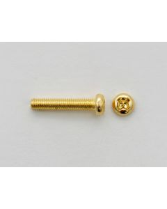 Screw M3x16 PU/Bridge