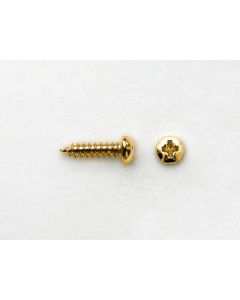 Bridge/Endpin Screw