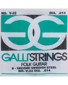 Galli Folk Guitar B-2 snaar voor akoestische gitaar