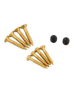 Bigsby screw pack, gold plated