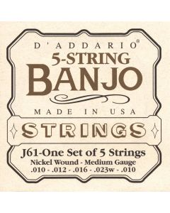 D'Addario snarenset 5-snarige banjo