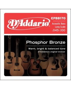 D'Addario Phosphor Bronze Bass snarenset akoestisch basgitaar