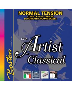 Artist Series snarenset klassiek