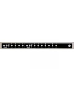 Faceplate: Generic Twin Reverb Style
